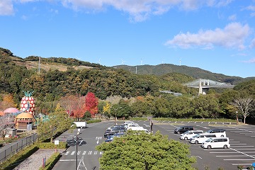 IMG 4985